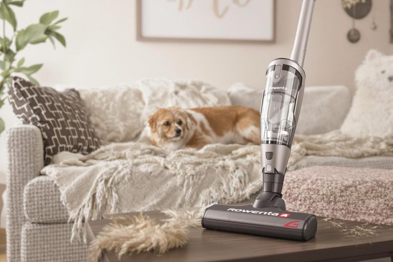 Kit aspirateur rowenta animal pour poils d'animaux.jpg