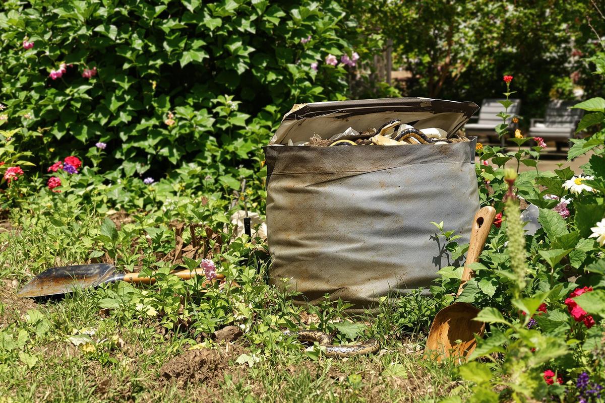 Vipères au jardin : cet objet de jardinage est leur cachette favorite.jpg